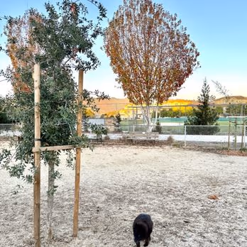 Franich Dog Park photo 2